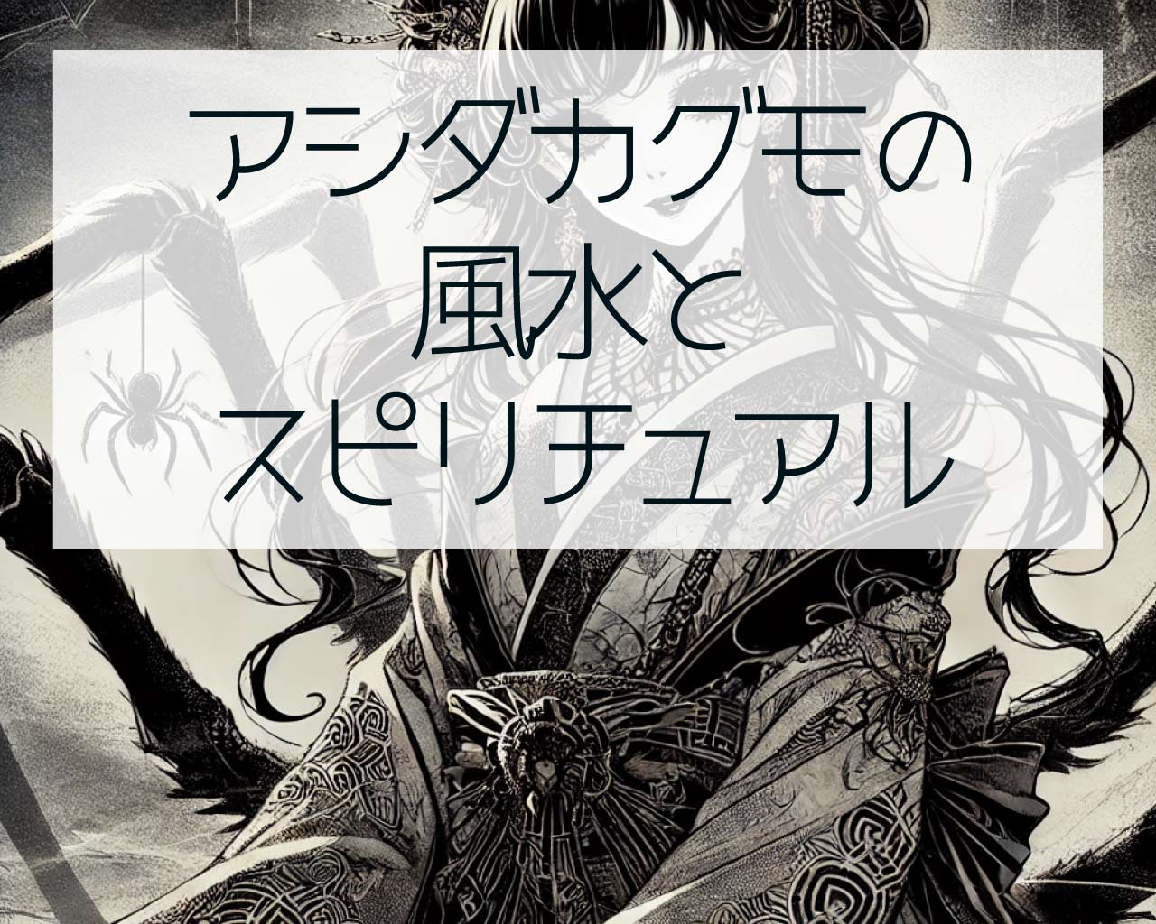 アシダカグモの風水とスピリチュアルな意味